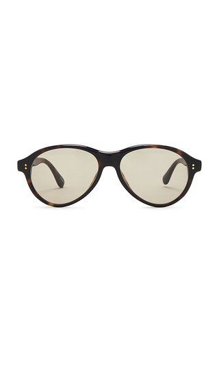 Chimi Tome Sunglasses in Brown. | Revolve Clothing (Global)