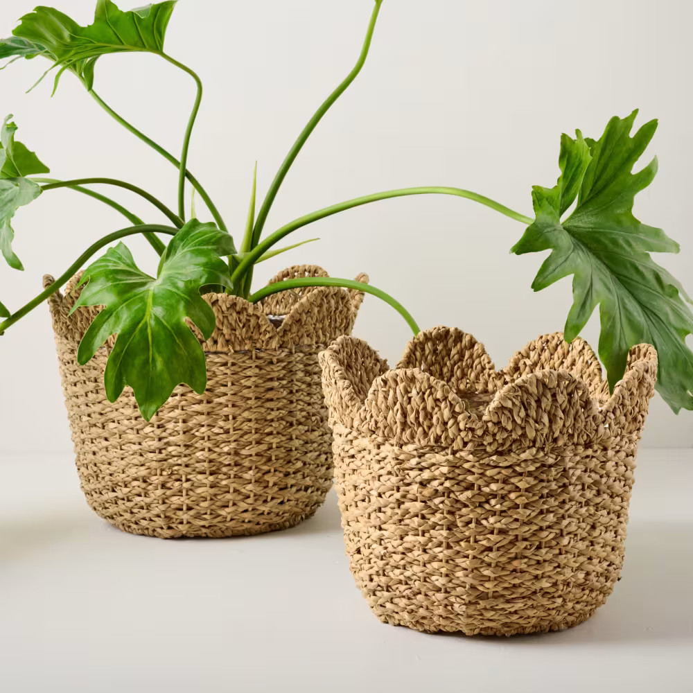 Solene Woven Scalloped Planter | Magnolia