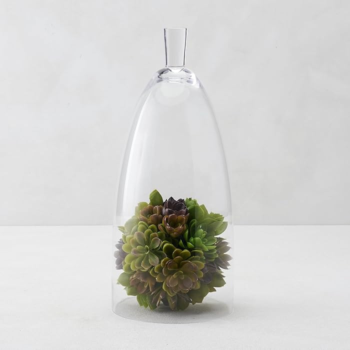 Z Gallerie Jules Cloche Hand-Blown Glass Display Dome, Elegant Terrarium for Curated Decor, Artis... | Amazon (US)