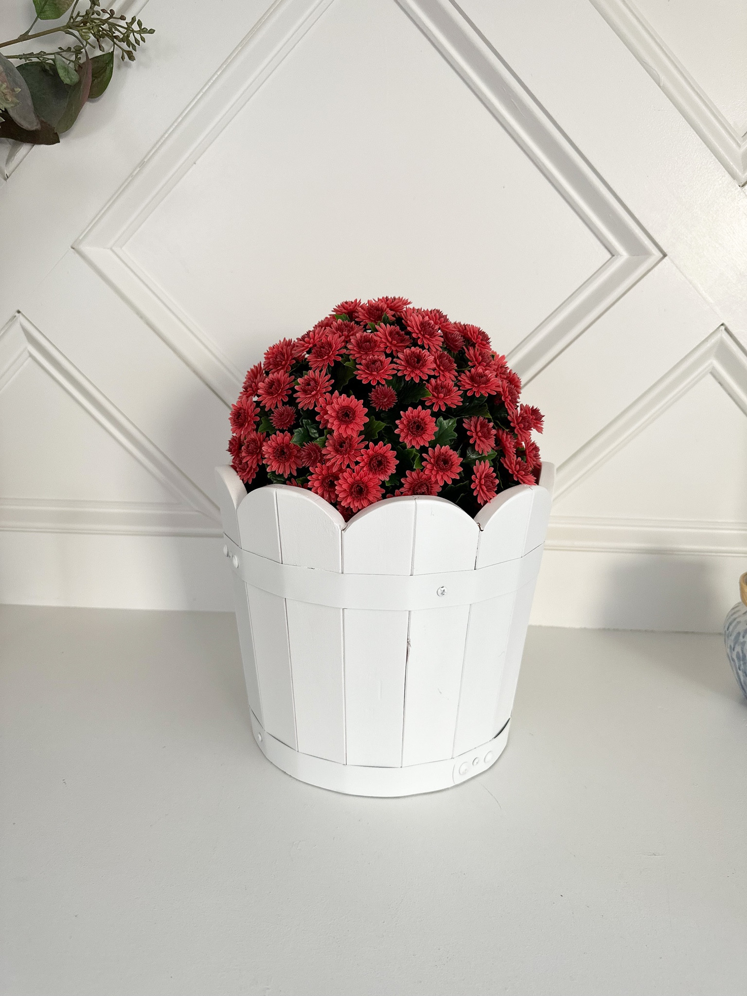 Found the perfect planter for the faux mums I’ll be using on my porch this year. And only 35 each. 

#LTKhome #LTKSeasonal #LTKFind