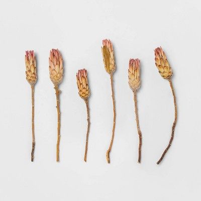 25" 6pc Dried Protea Compacta Flower Bunch Pink - Smith & Hawken™ | Target