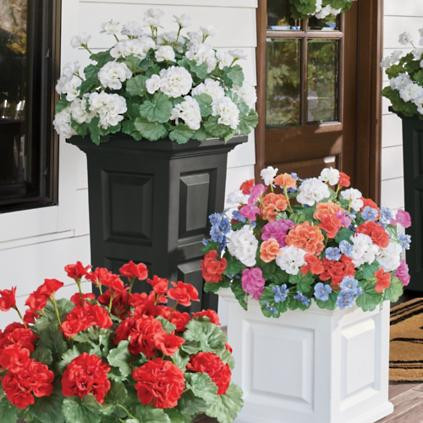 Geranium Urn Filler | Grandin Road