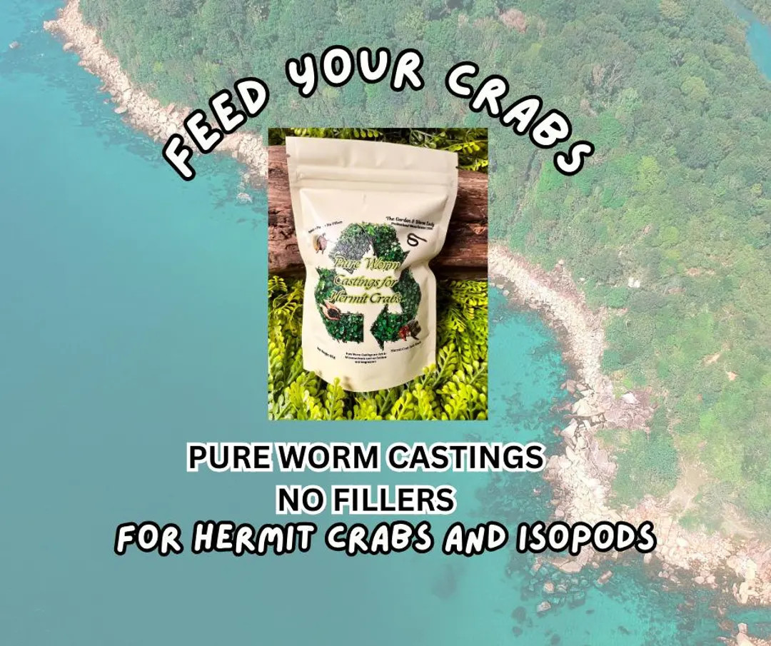 Pure Worm Castings, Hermit Crab Molting Food | Etsy (US)