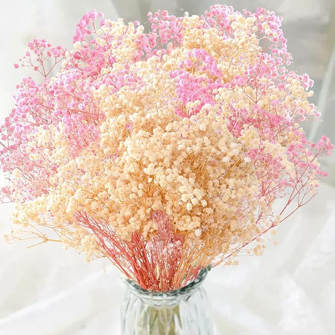 2000+ Dried Pink White Babys Breath Flowers -17'' Baby's Breath Bulk Bouquet, Real Natural Dried ... | Amazon (US)