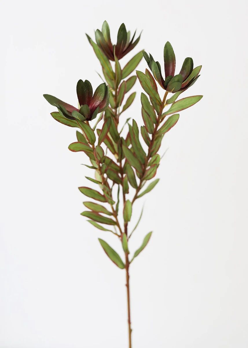 Artificial Wild Protea Foliage - 26.25 | Afloral (US)