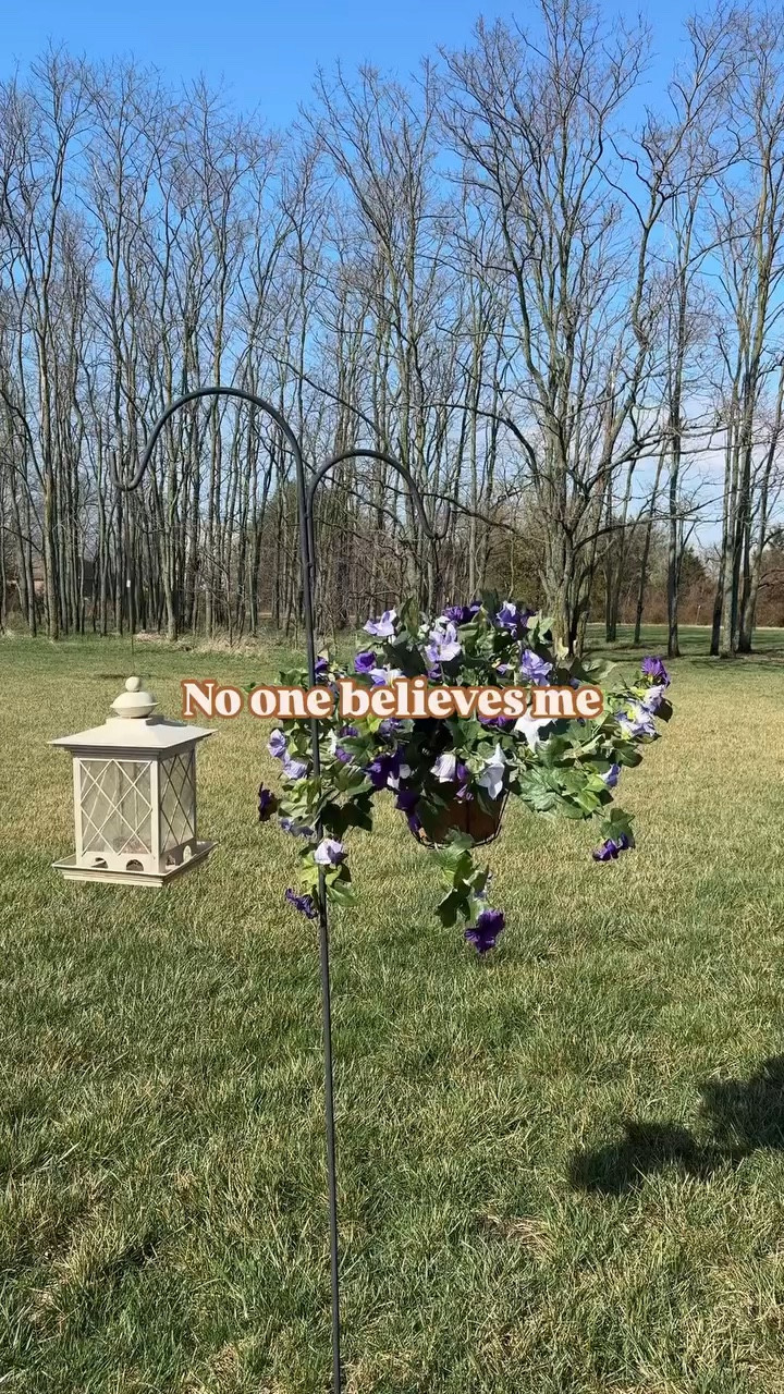 These are what I would call the best to buy in ‘25 of outdoor items so far! I truly love these and know you will too. Tip: The purple flowers will need time in the sun to dewrinkle from shipping 💕

#LTKSeasonal #LTKSaleAlert #LTKHome