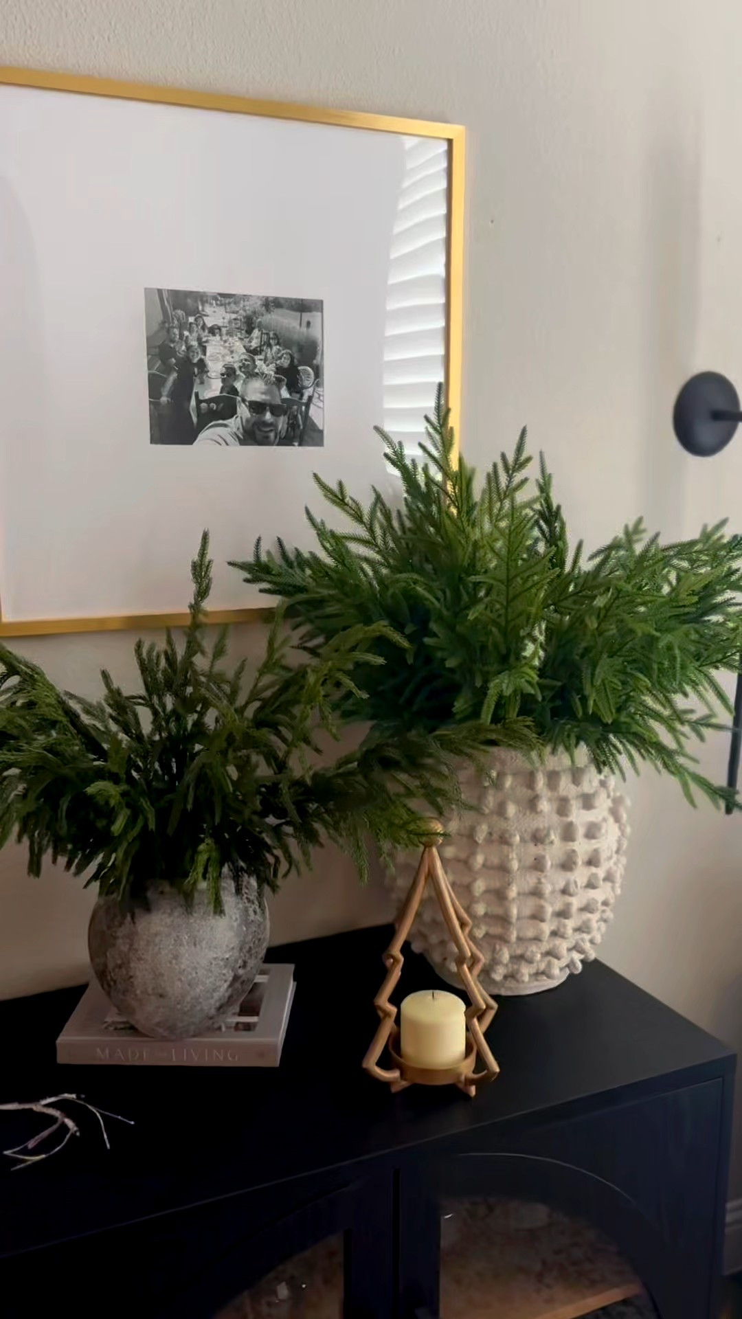 Which of these Amazon Christmas stems do we like better?? The Norfolk pine stems that are real touch or the longer brighter version? I love both! These are perfect to incorporate into your Christmas decor this season! No matter the theme or color scheme they’ll both look great!! 

#LTKSeasonal #LTKHoliday #LTKHome