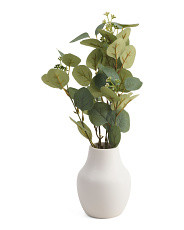 26in Eucalyptus In Vase | Marshalls