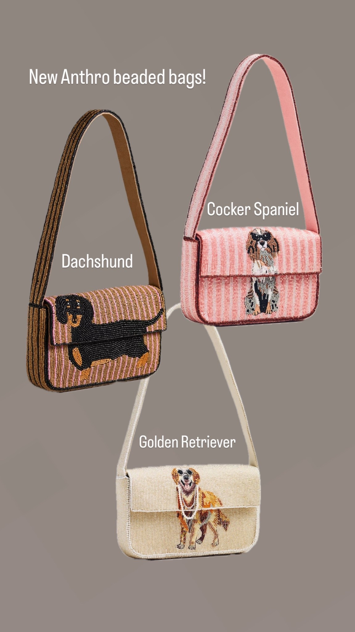 Anthropologie just dropped new beaded bags with dogs on them! Dachshund, cocker spaniel, golden retriever, and beagle!!

#LTKFindsUnder100 #LTKItBag #LTKStyleTip