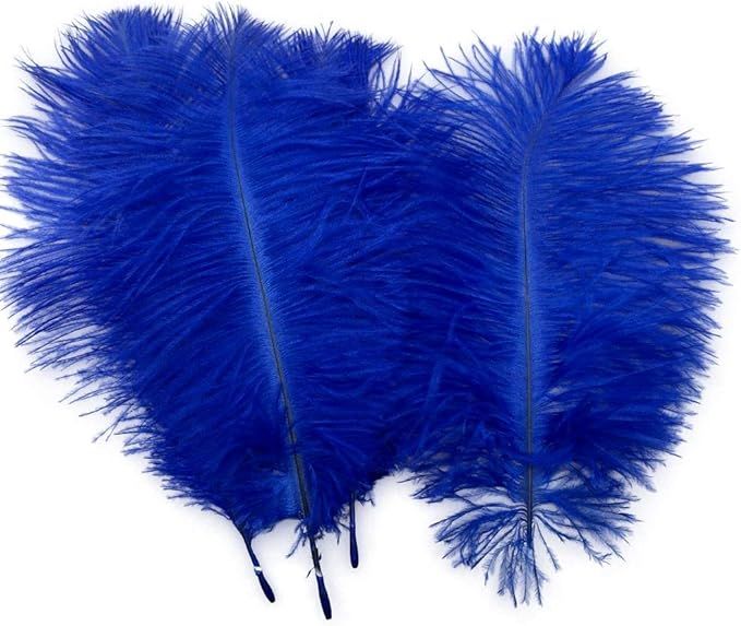 Sowder 20pcs Natural 10-12inch(25-30cm) Ostrich Feathers Plume for Wedding Centerpieces Home Deco... | Amazon (US)