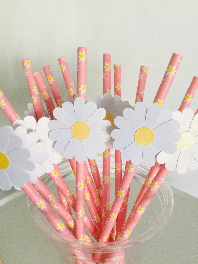 12 pink daisy paper straws seventies retro vintage birthday | Etsy (US)