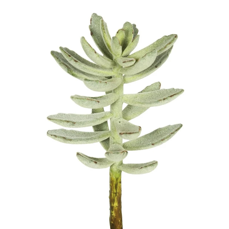 Vickerman 12" Artificial Frosted Green Pachyphytum Oviferum Stem, Set of 3 | Walmart (US)