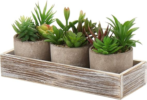 Set of 3 Artificial Potted Succulents in Rustic Centerpiece Box Faux Succulent Plants in Pots Fak... | Amazon (US)
