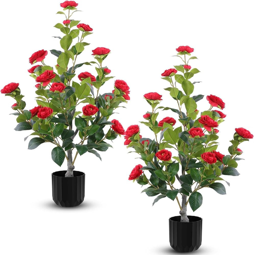 Hananona 2 Pcs Artificial Camellia Trees Faux Camellia Plant in Pot with Flowers Indoor Plants fo... | Amazon (US)