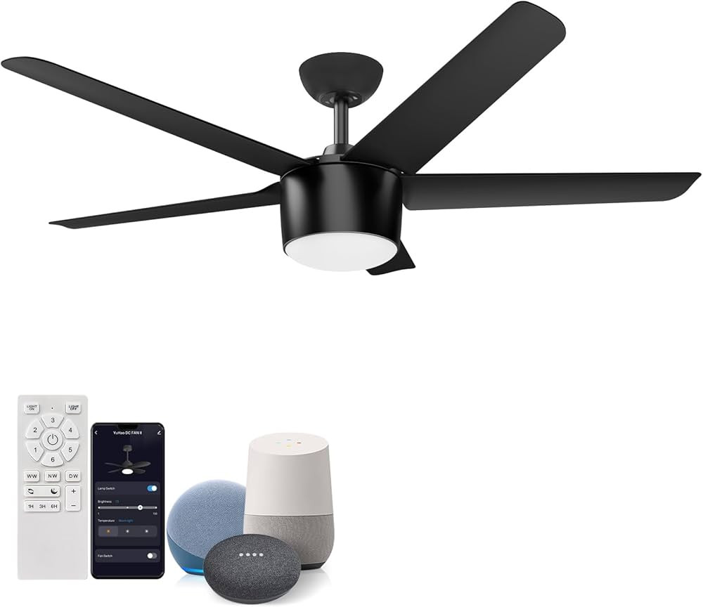 wurzee 52 Inch Smart Ceiling Fan, DC Reversible Motor Noiseless Timing 3CCT Dimmable, Black Ceili... | Amazon (US)