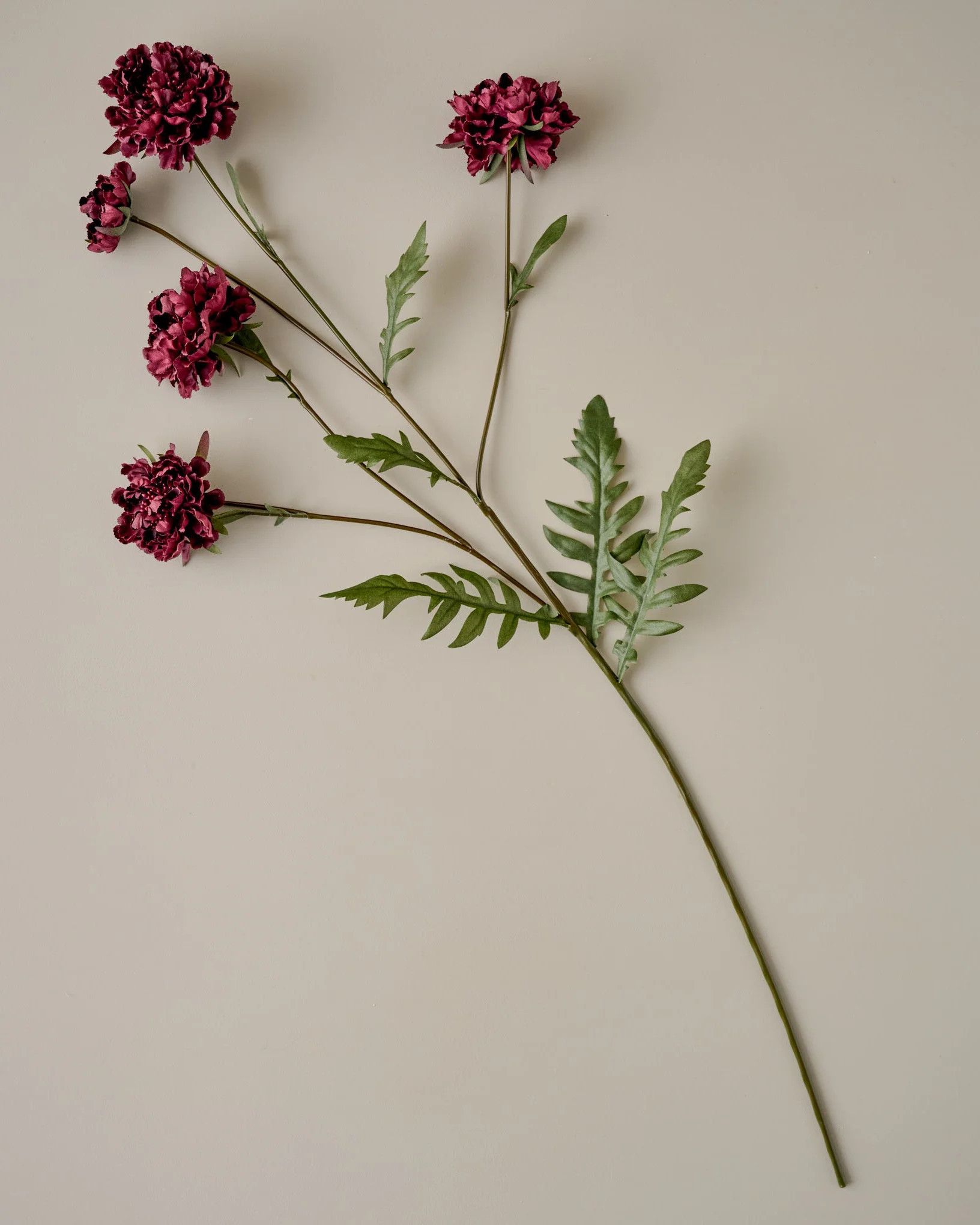 Real Touch Red Velvet Scabiosa Stem | Magnolia