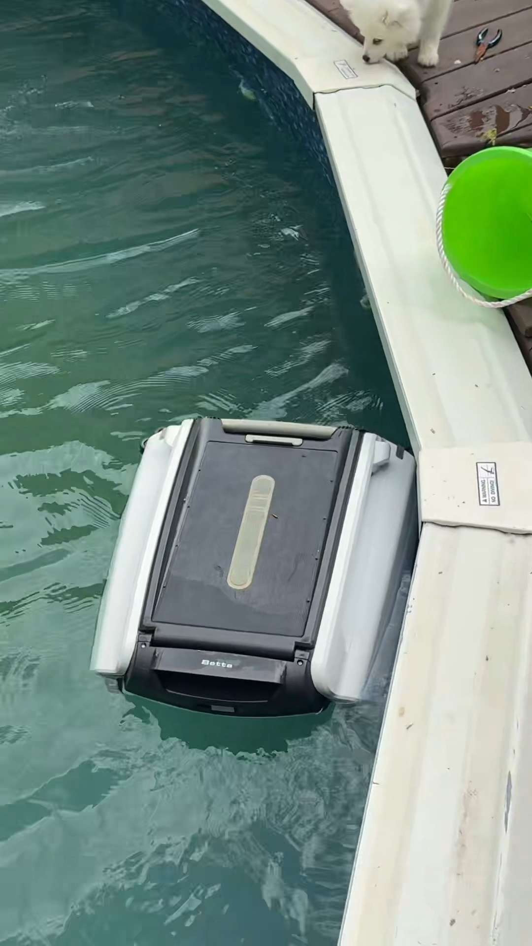 Solar Powered Pool Skimmer 

 #LTKmomlife #LTKHome #LTKSwim
