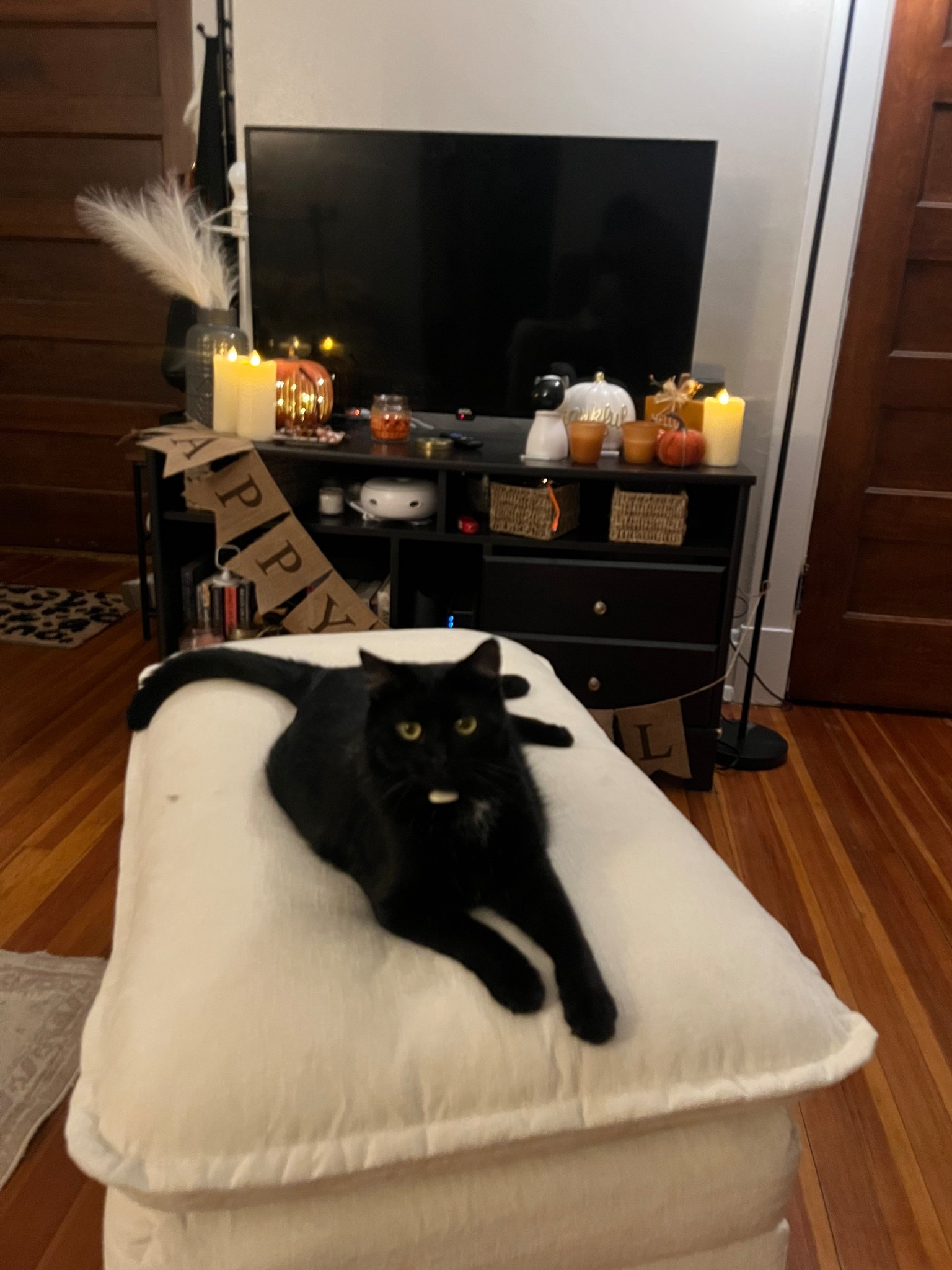 It’s her month.. A FULL TIME HALLOWEEN DECORATION 

#LTKHome #LTKHalloween