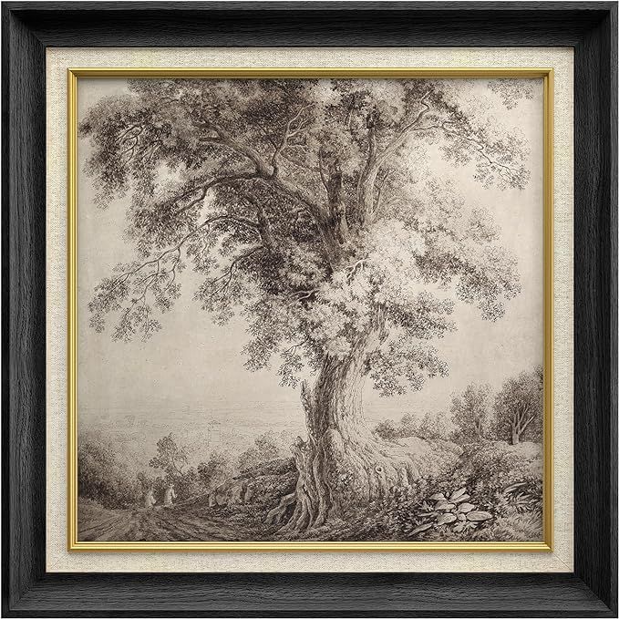 MUDECOR Premium Framed Wall Art Landscape Sketch Antique Tree Wilderness Nature Vintage Illustrat... | Amazon (US)