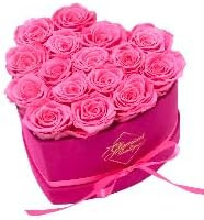 GLAMOUR BOUTIQUE 16-Piece Forever Flowers Heart Shape Box - Preserved Roses, Immortal Roses That ... | Amazon (US)