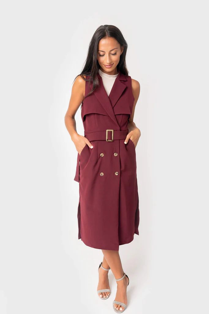 Jennifer Trench Duster Dress | Gibson