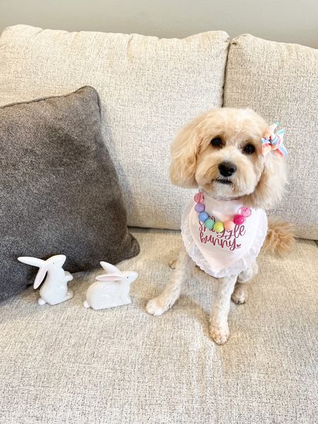 Shop my Easter dog bandana at @pineapplepawprints 
🐣 #ltkdog #ltkpet

#LTKSeasonal #LTKGiftGuide #LTKFind