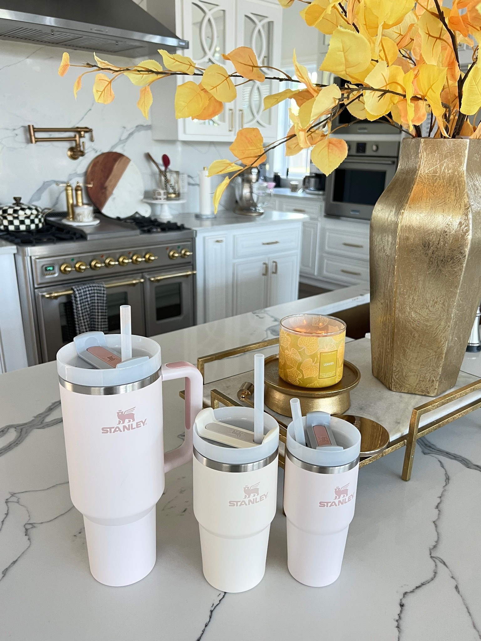 Stanley, Stanley Quencher, Water Cup, Gifts for her, Water Bottle, Restock Alert, Emily Ann Gemma, Stanley Cup

#LTKGiftGuide #LTKSeasonal