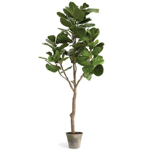 Fida French Country Green Fiddle Leaf Brown Clay Potted Fig Tree | Kathy Kuo Home