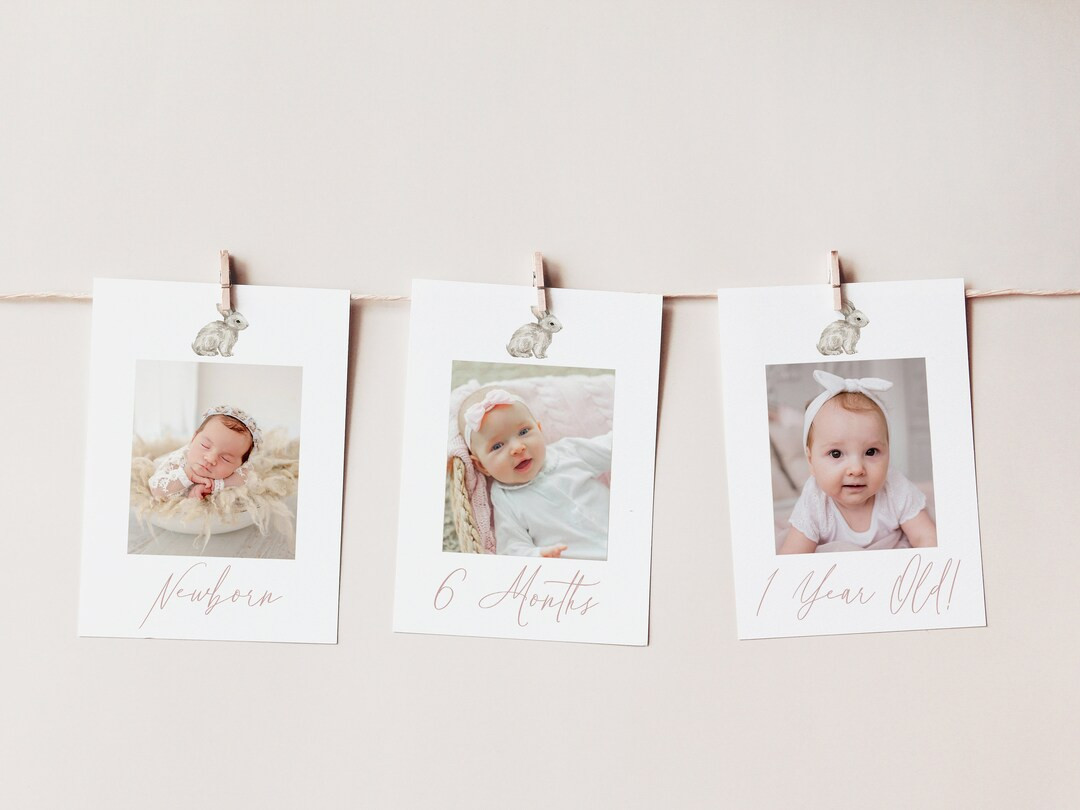 BONNIE | First 1st Birthday Little Bunny Easter Spring Monthly Milestone Photo Banner, Boy Girl T... | Etsy (US)