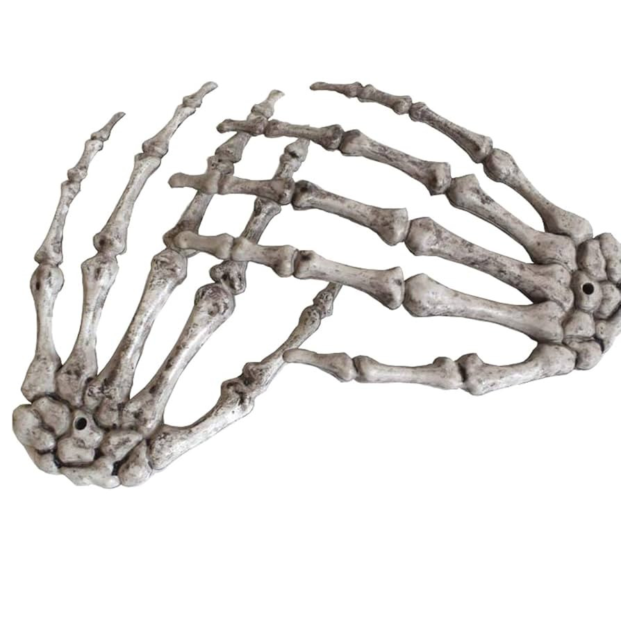 XONOR Halloween Skeleton Hands - Realistic Life Size Severed Plastic Grey Skeleton Hands for Hall... | Amazon (US)