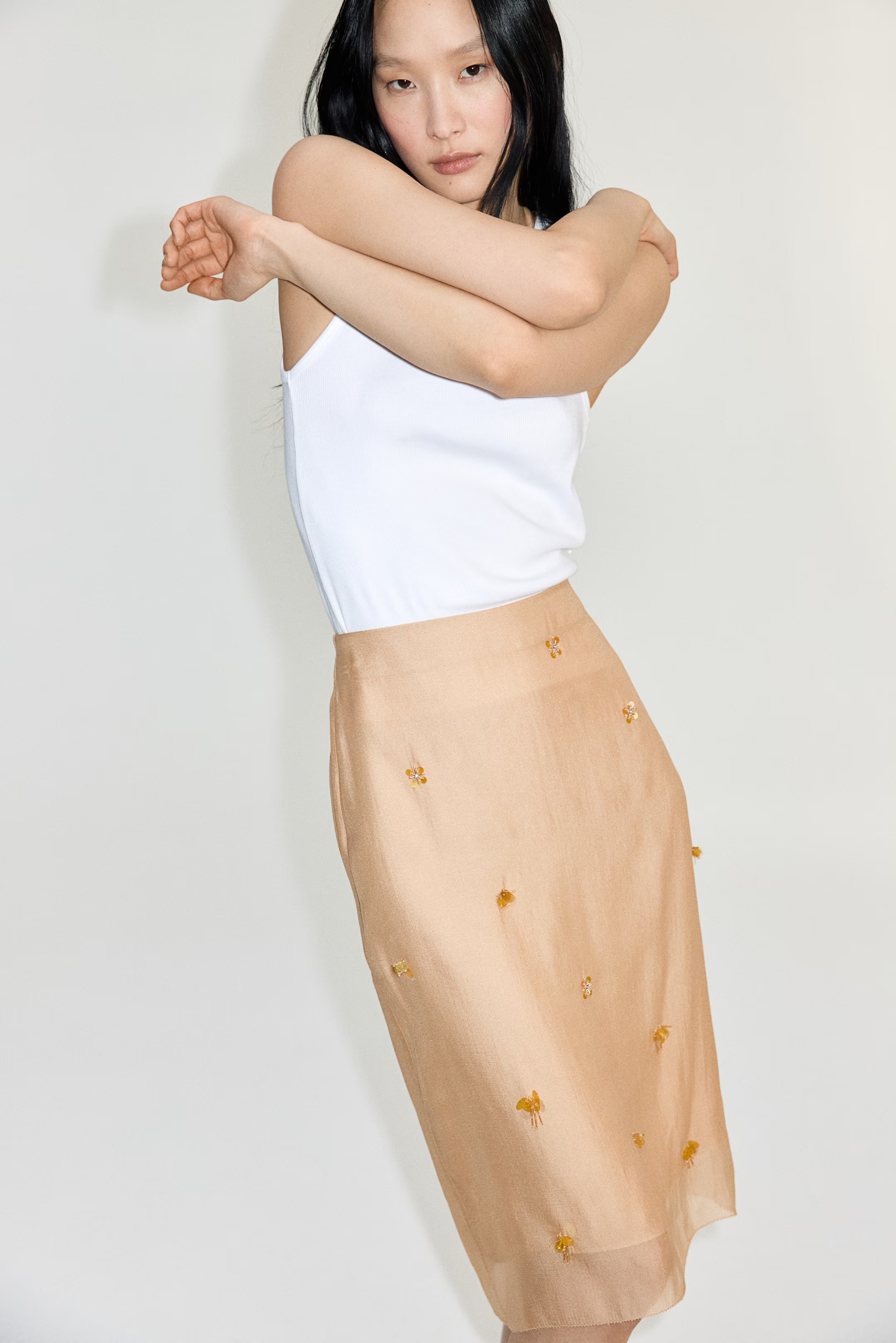 Embellished Sheer Skirt - Beige - Ladies | H&M US | H&M (US + CA)