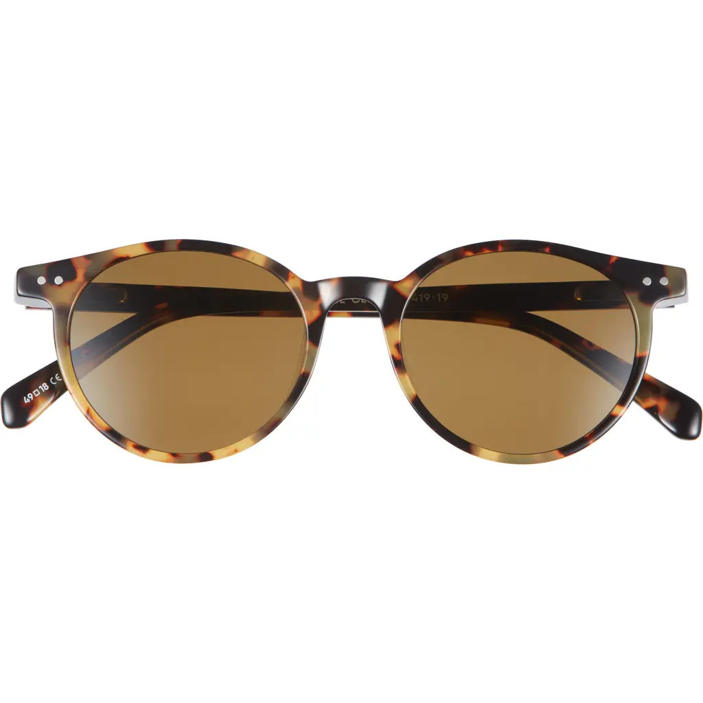 eyebobs Case Closed 48mm Polarized Round Sunglasses in Tortoise at Nordstrom | Nordstrom