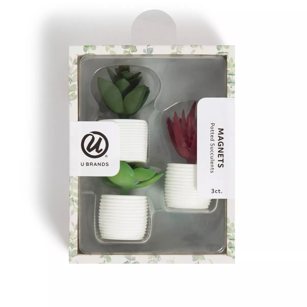 U Brands 3ct Succulent Plant Magnets | Target