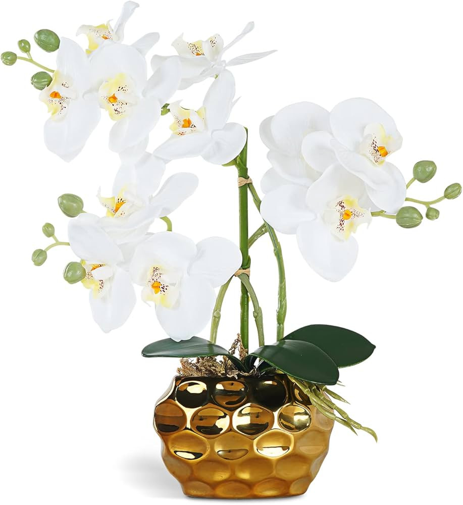 Artificial Orchid Flowers & Plants Potted in Ceramic Pot, White Faux Phalaenopsis Orchids for Tab... | Amazon (US)