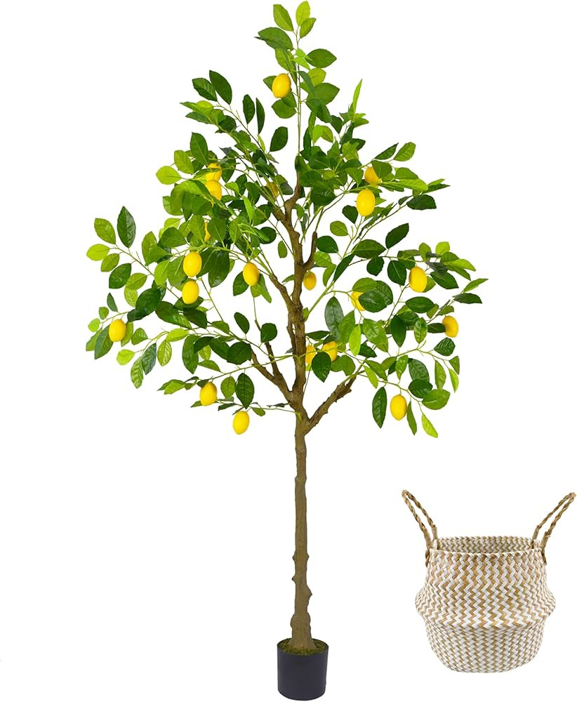 Artificial Lemon Tree, 5ft Tall Fake Lemon Silk Plant with Basket, Faux Lemon Fruit Tree for Indo... | Amazon (US)