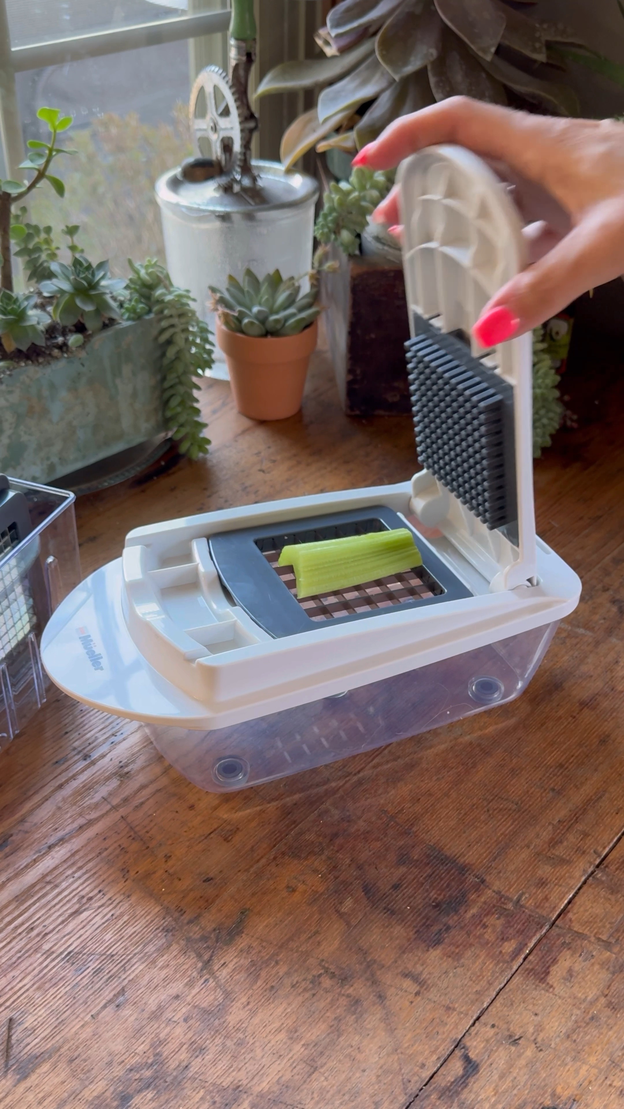 New Veggie Chopper! This thing is awesome. I like it better than my last one that my girls melted in the bottom rack of the dishwasher. 🤪 
Here’s a few reasons why:
1. The lid attaches securely to the base. 
2. There are rubber feet on the bottom. 
3. More slicing blades.

#LTKVideo #LTKsalealert #LTKhome
