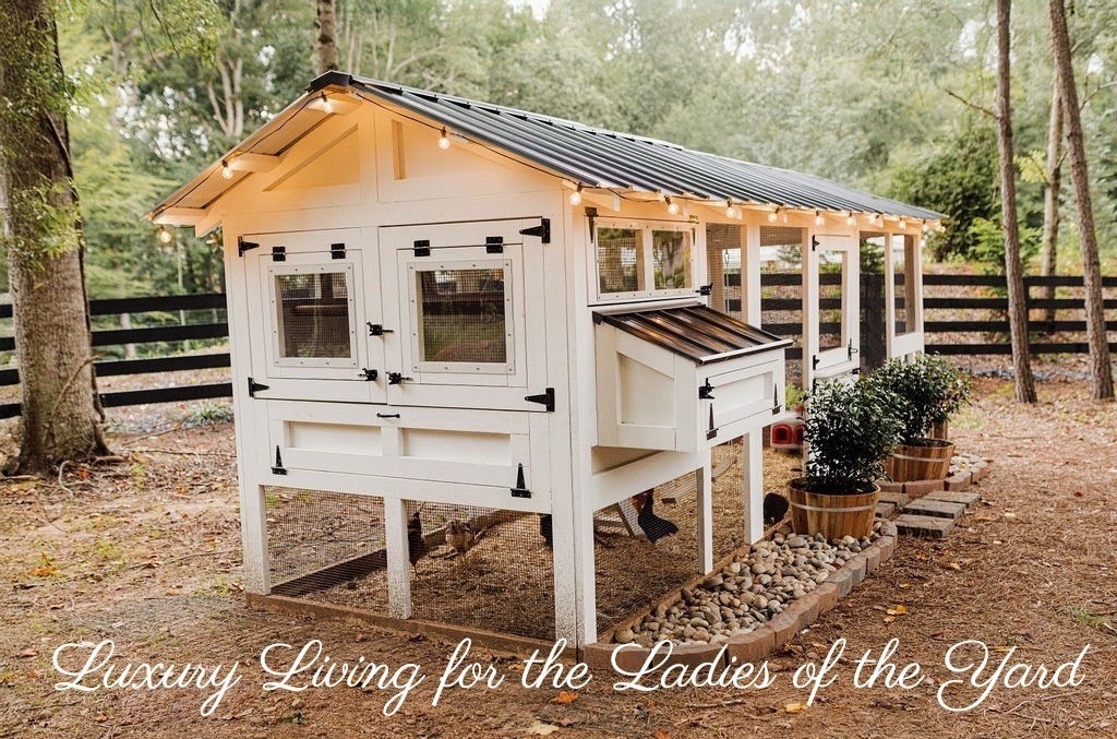 🤍 Crisp white with black accents = timeless perfection. This coop blends seamlessly with any Modern Classic backyard design while making a bold yet simple statement.

Do you want to bring our dreamy Modern Classic style interior design into your own home? 🏡 You’re in luck! Reserve our Online Interior Design packages today -> https://porcheandco.com/edesign ✨ We can’t wait to work with you & design your home with #porcheandco

#porcheandco #modernclassicinteriors #outdoorstyle #chickencoopdesign #timelesspalette #farmhousemodern #neutraldecor #modernclassicstyle #backyardinspo #outdoordecor



#LTKHome #LTKdayinmylife #LTKvlog