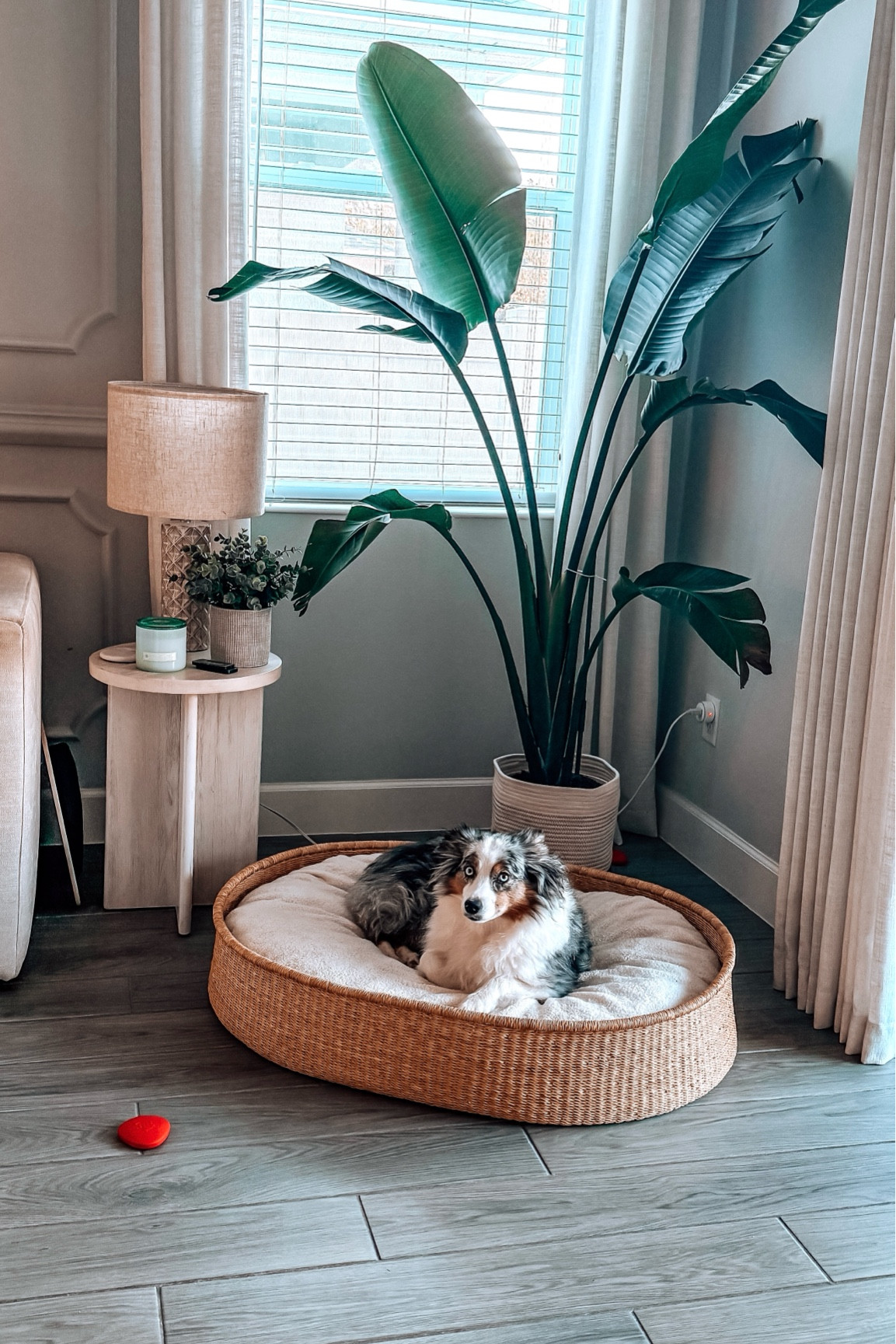 Dog Bed for living room 
cuddle puppy esthetic house home design decor 

#LTKHome #LTKFamily #LTKGiftGuide