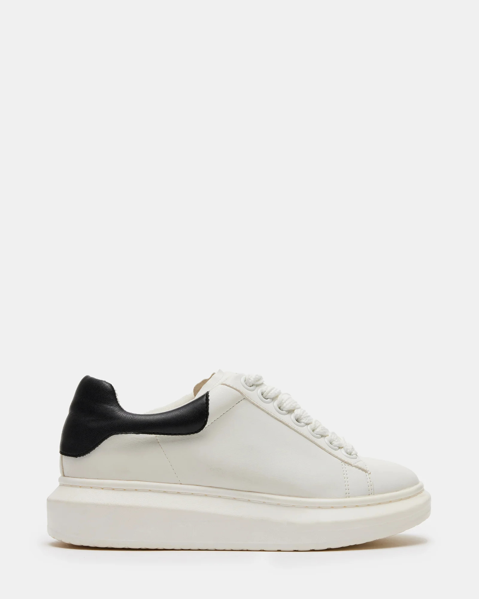 GLACER WHITE/BLACK | Steve Madden (US)