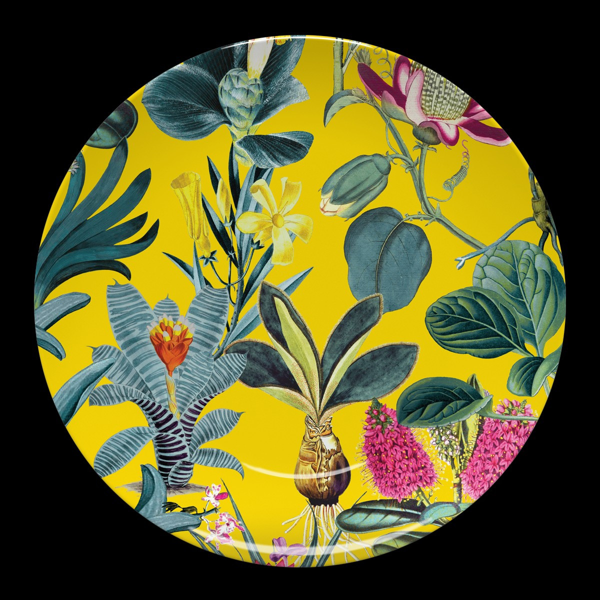 Lisse Plate | Katie Kime Inc