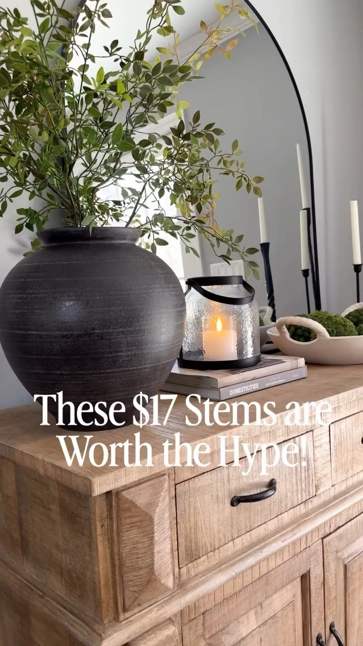 I give these XL Stems 4 stars! ⭐️⭐️⭐️⭐️ This is 2 stems ($17 for both!), and they are super tall at 43” and so full. Perfect for those oversized vases. Afloral has an identical stem for $56 for 1! And, my black arched mirror is on sale too! 

🛒🛍️🛒Comment SHOP and I’ll DM you the links to everything. 🔗🔗⭐️⭐️

Happy Saturday! Today is a beautifully sunny 60° here in New England and we’re headed to our kids’ college for a baseball game and then a bbq with our son, his roomates & their parents. We’re winding down to the last of the lasts before he graduates. Have ever stepped foot in an off-campus college house of all guys? If so, you’d know why I brought my own chair and a can of Lysol. 😅. Happy Saturday! 

#reels #amazonhome #florals #candles #homedecor