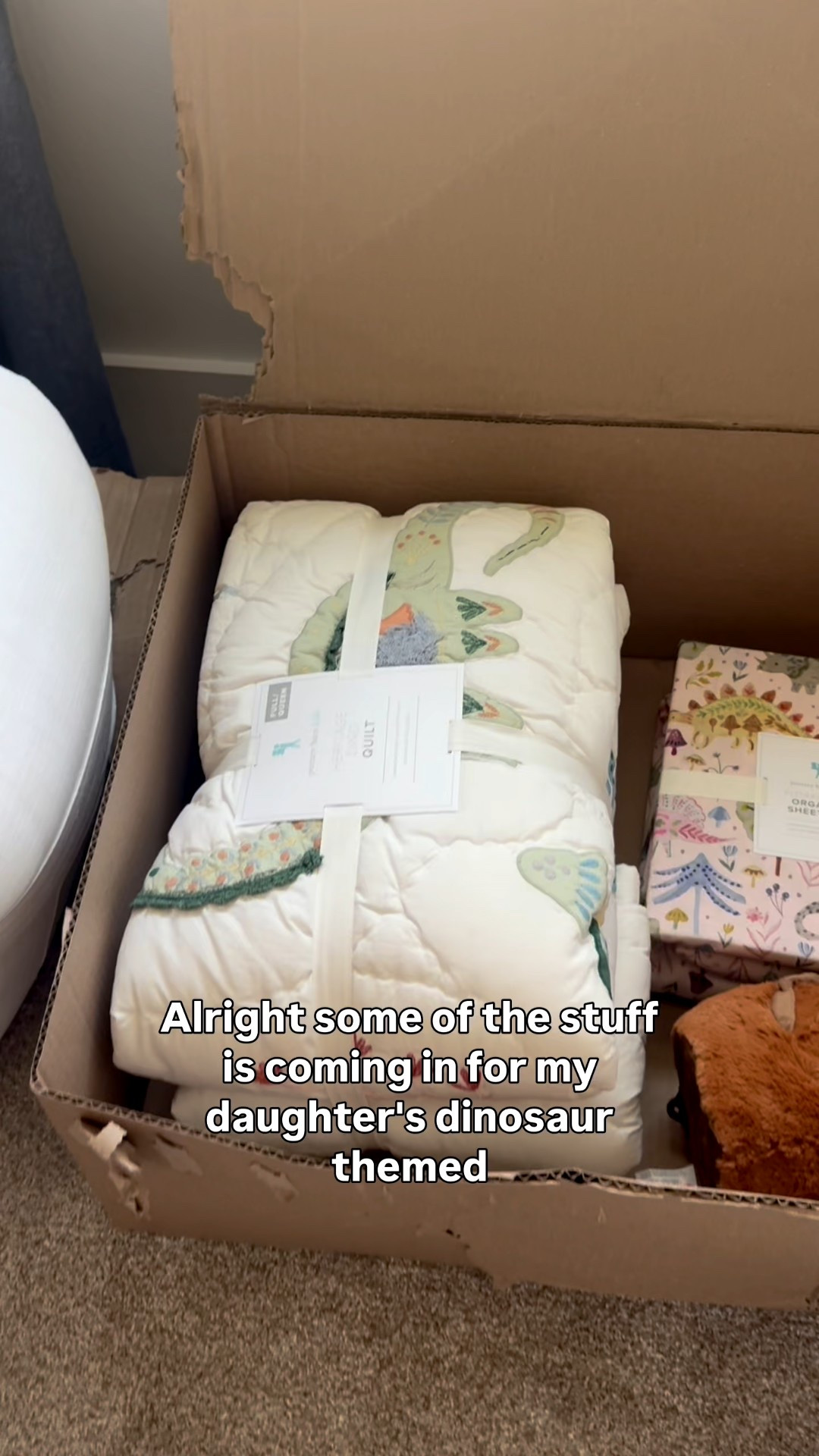 Almost everything is here for my daughter‘s mini room refresh! We are going with a girl dinosaur theme

#LTKHome #LTKKids