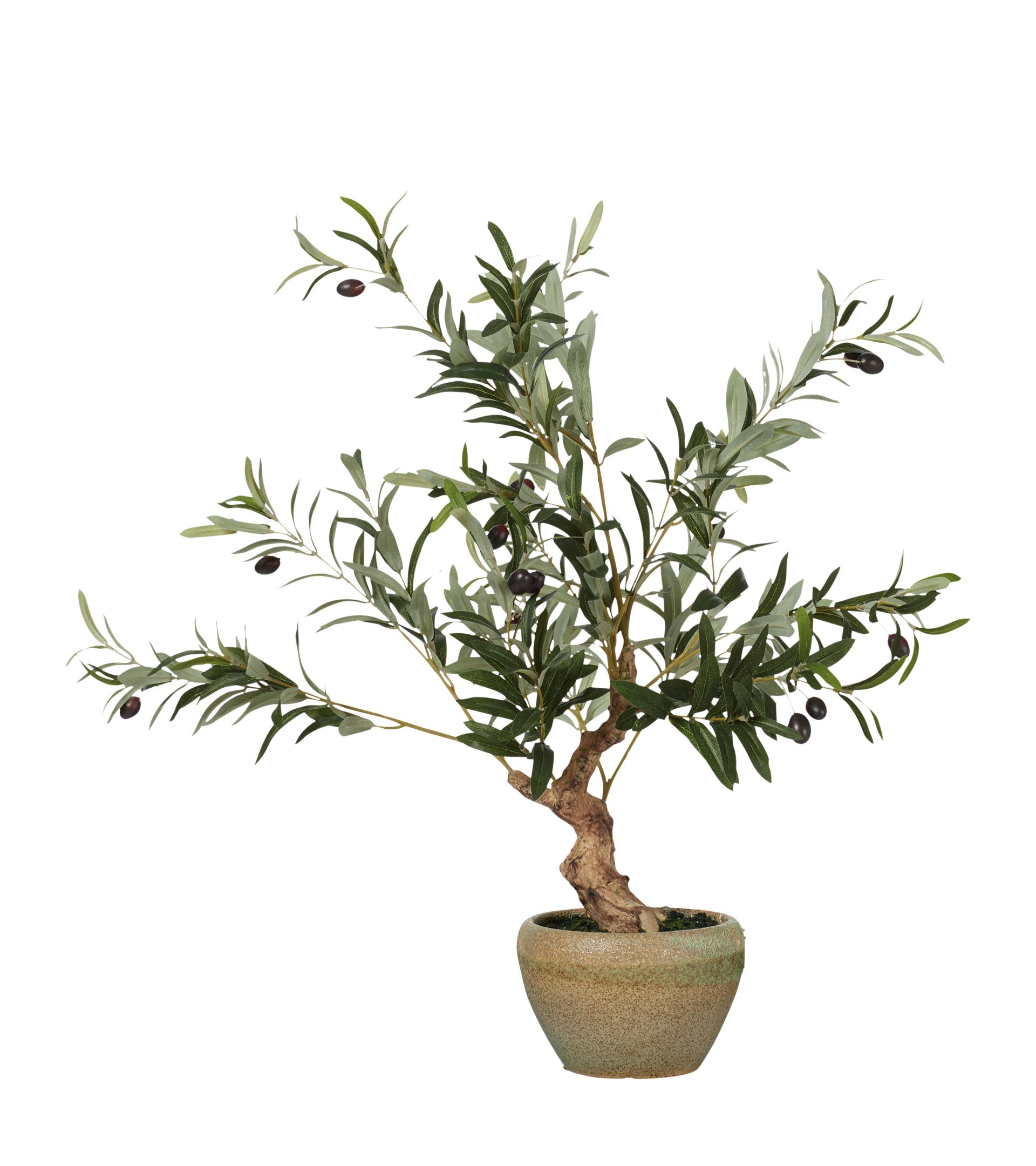 Faux Miniature Olive Tree - Black | OKA US