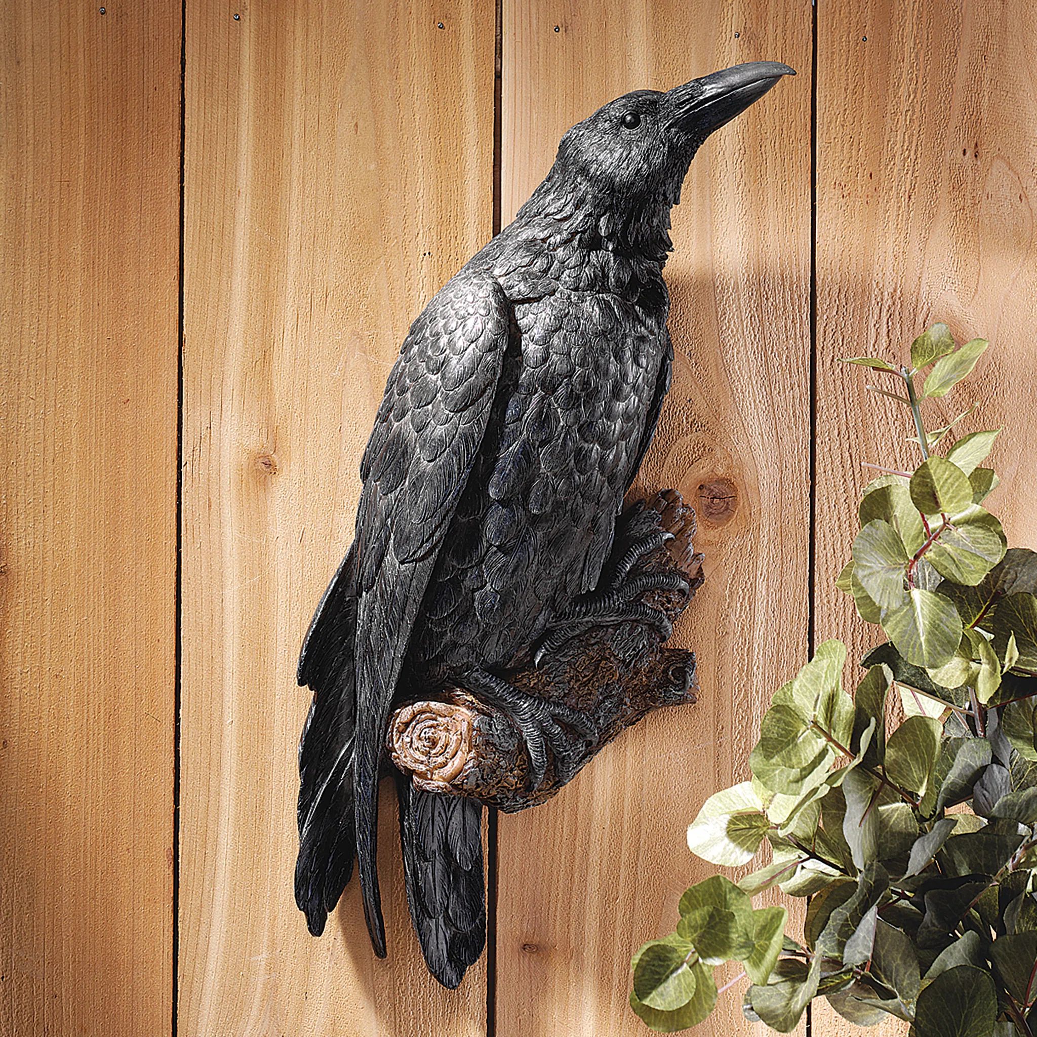 Design Toscano Raven's Perch Wall Décor & Reviews | Wayfair | Wayfair North America