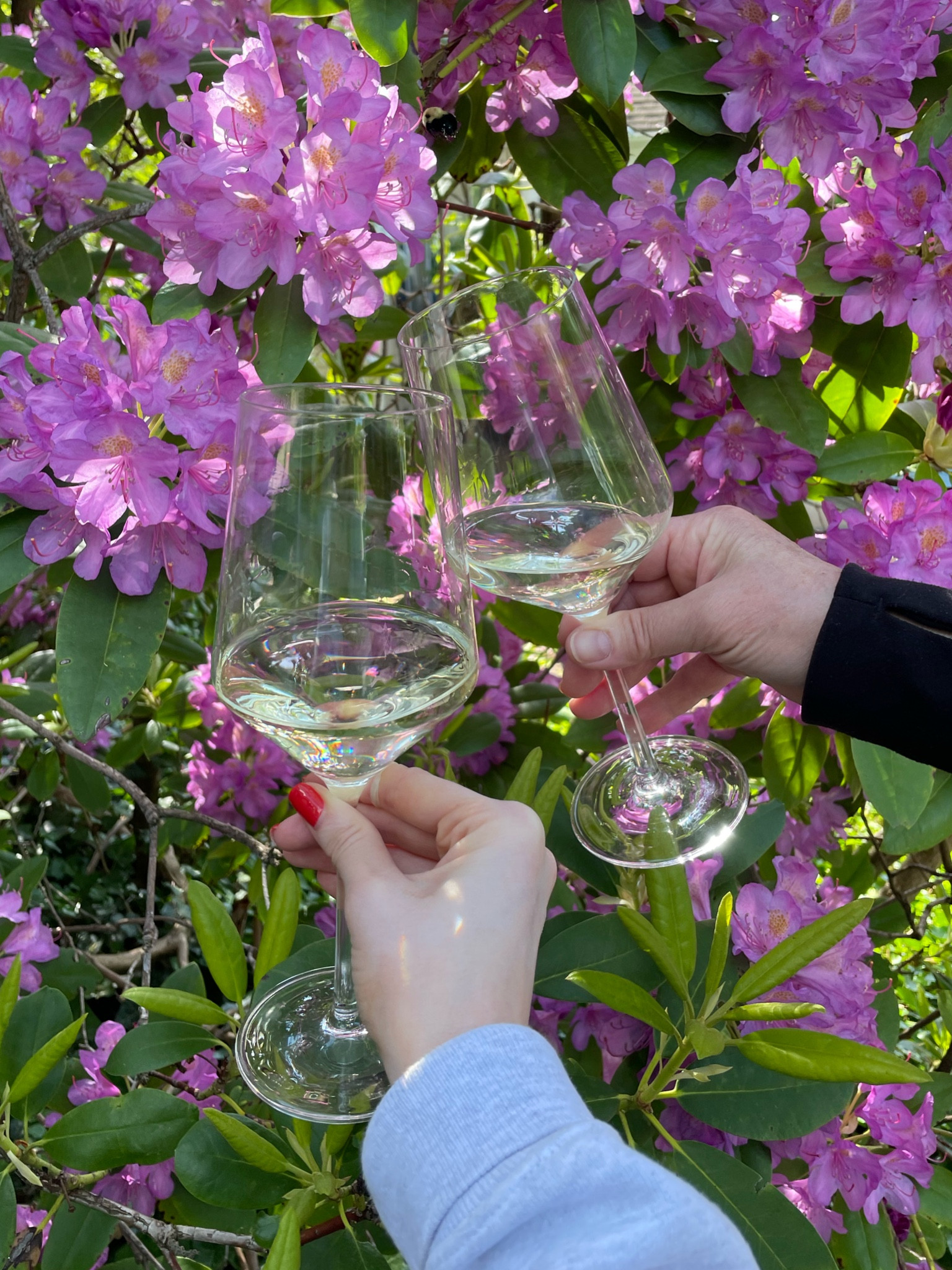 Some of my favorite wine glasses! 

#LTKfindsunder50 #LTKhome #LTKGiftGuide