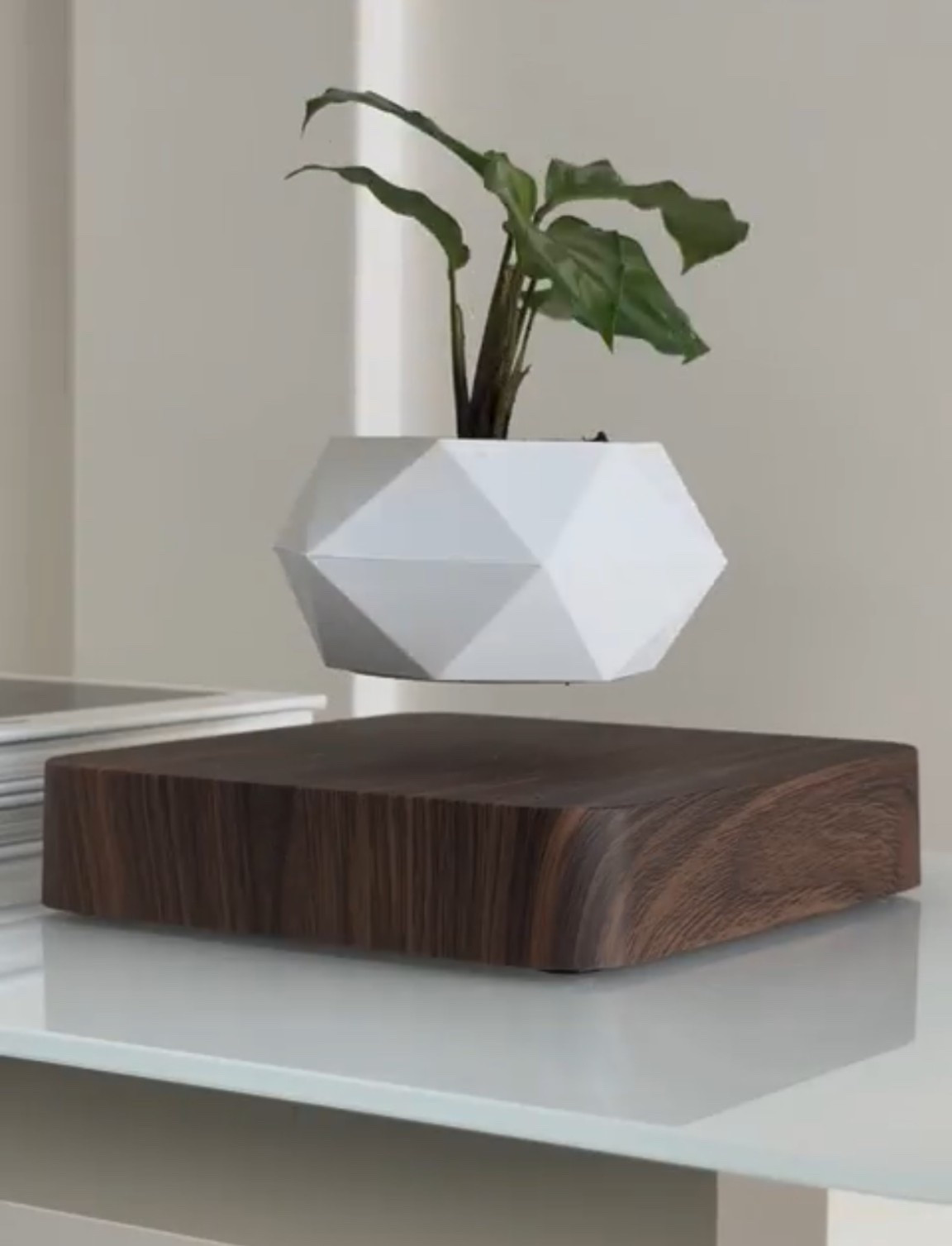 Scroll to shop!! Follow for more!!! Xo! ✨

#LTKHome #LTKHoliday #LTKGiftGuide