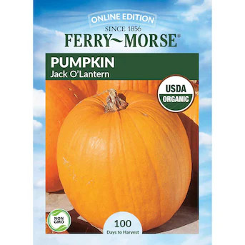 Ferry-Morse Organic Pumpkin Seeds 4.4 Gram(s) Lowes.com | Lowe's