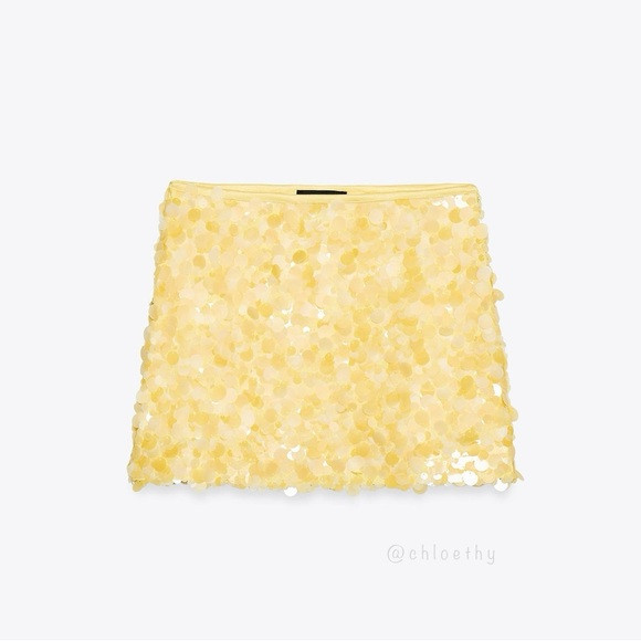 Zara SEQUIN MINI SKIRT | Poshmark