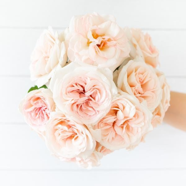 Francis Meilland Bouquet | Grace Rose Farm