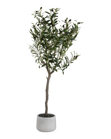 4ft Olive Tree In Stone Pot | TJ Maxx